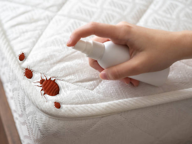 Best Wasp Removal Services  in Pheasant Run, OH