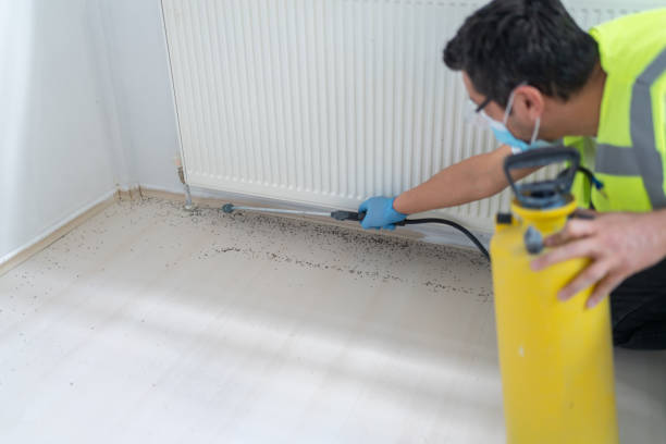 Best Cockroach Control Services  in Pheasant Run, OH